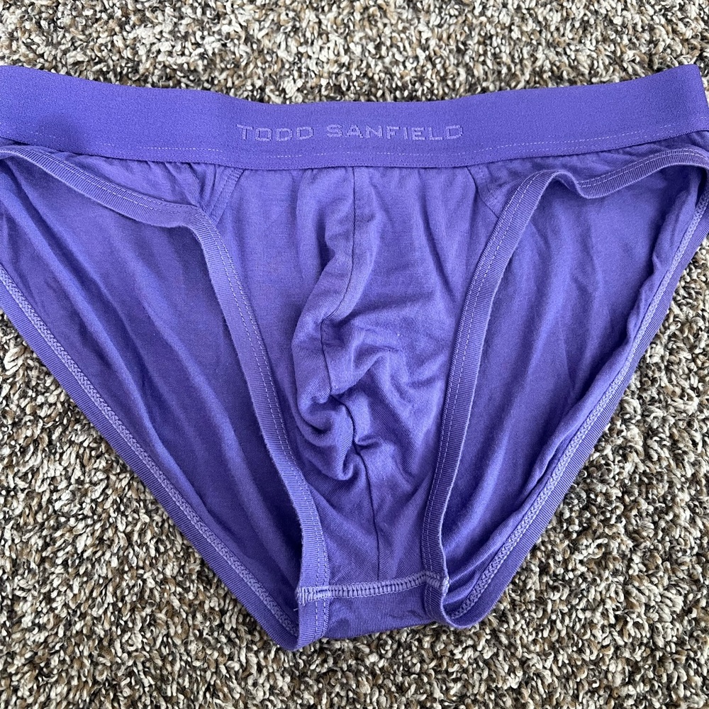 Todd Sanfield Purple Men's Briefs